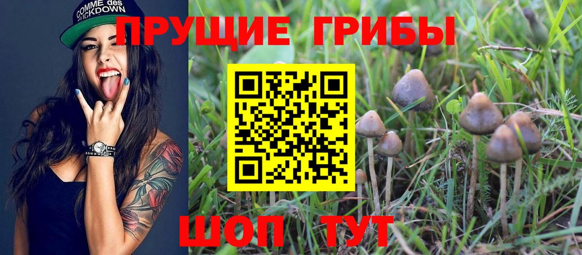 Выкса  Галлюциногенные грибы мухоморы  Вход с VPN 